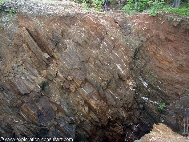 Host rocks are metasedimentary rocks of Proterozoic age. Drainages in the vicinity carry alluvial gold of unclear primary origin. 